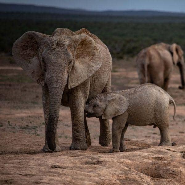 Unsplash.com/Stage7Photography