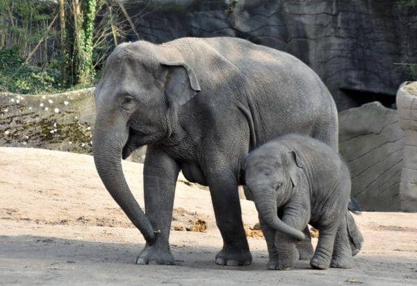 Unsplashcom/WaldemarBrandt