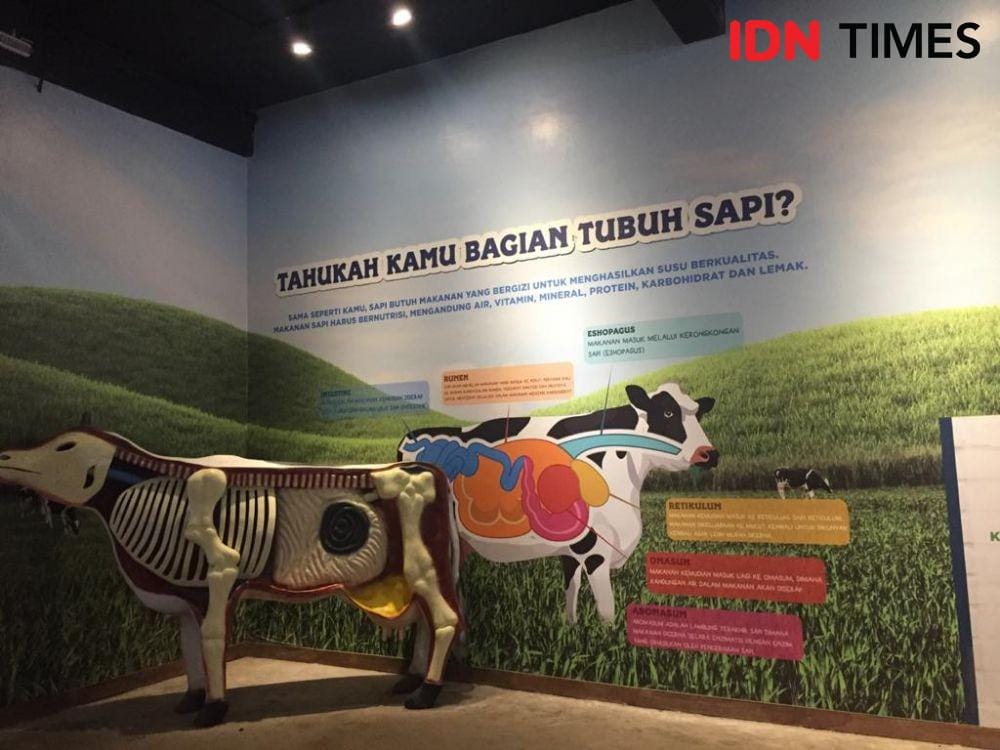 Suasana liburan di Cimory Dairyland, Prigen, Pasuruan, Jawa Timur. IDN Times/Naufal Al Rahman