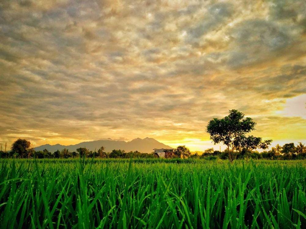 instagram.com/indrapurnawans/