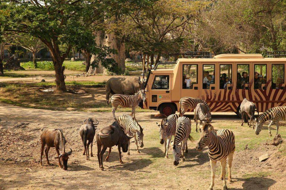 balisafarimarinepark.com