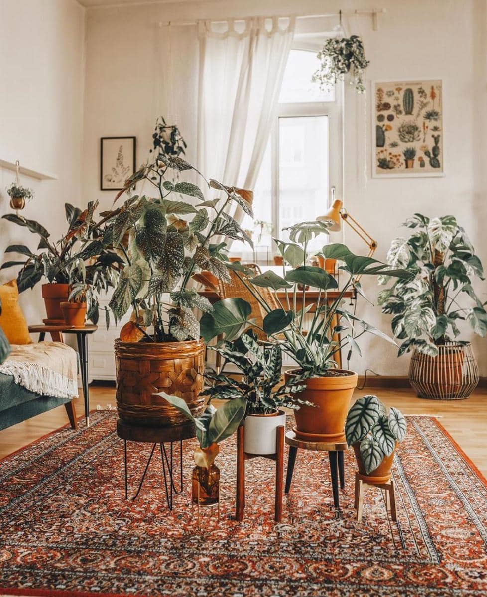 instagram.com/marienova