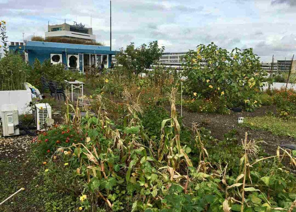 Twitter.com/WilksJeremy