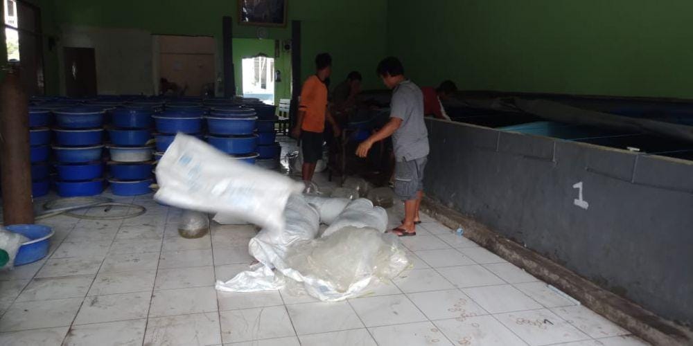 Lokasi tempat pemijahan ikan di Lamongan. IDN Times/Imron