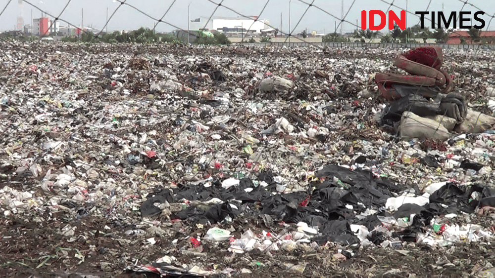 IDN Times/ Muchammad Haikal