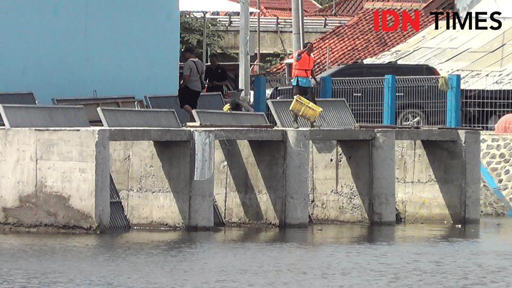 IDN Times/ Muchammad Haikal