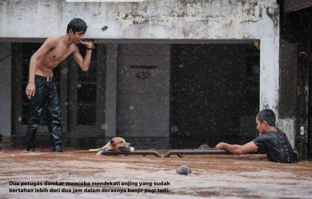 (Petugas damkar Cinere Depok coba mendekati anjing untuk menyelamatkannya) www.instagram.com/@galaindiga