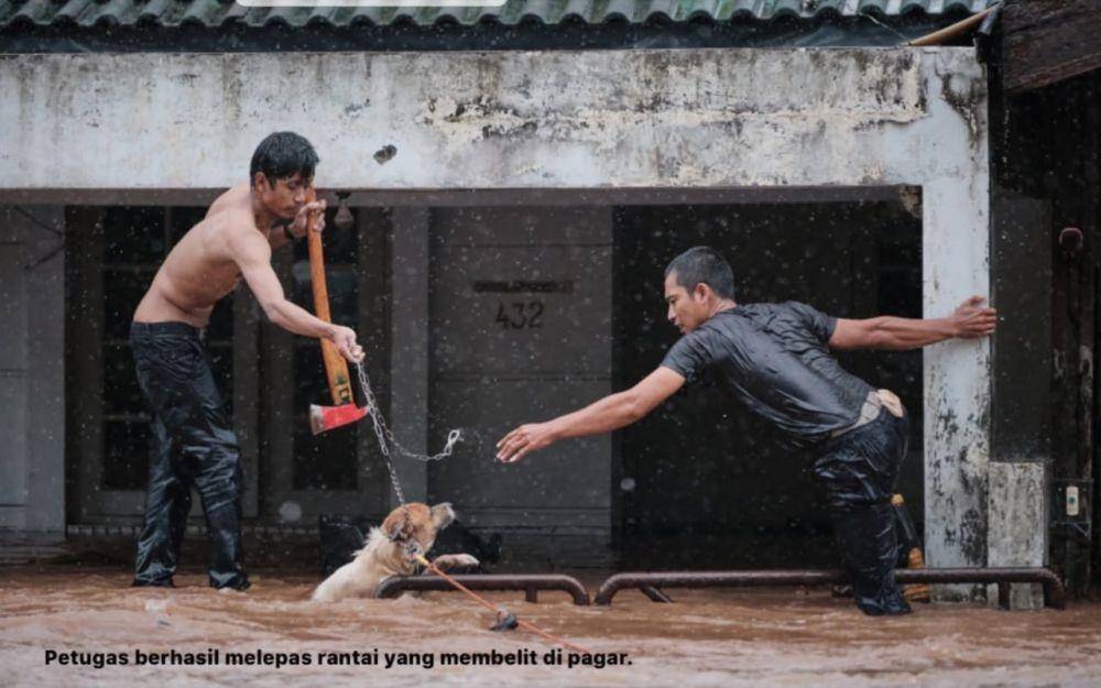 (Petugas Damkar Depok menolong anjing yang nyaris tenggelam direndam banjir pada 1 Januari 2020) www.instagram/@galaindiga