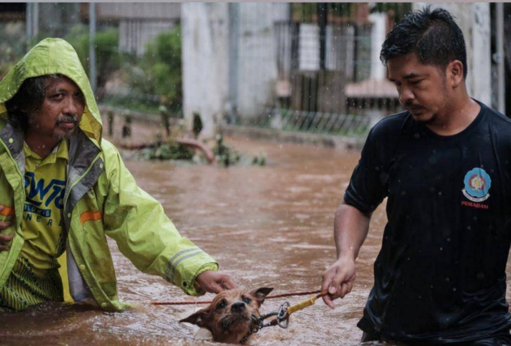 (Petugas damkar menarik anjing ke bagian pinggir agar tidak terendam banjir) www.instagram.com/@galaindiga