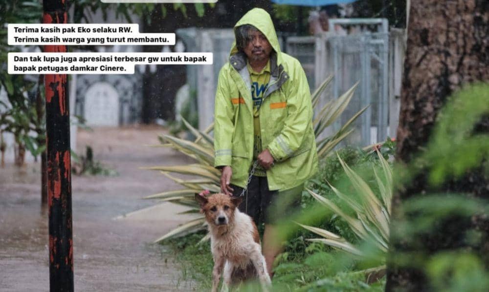 (Anjing berhasil diselamatkan oleh petugas damkar Depok) www.instagram.com/@galaindiga