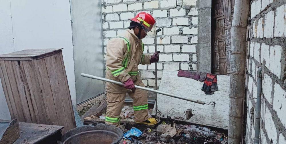 Petugas pemadam kebakaran Kabupaten Bojonegoro mengevakuasi ular di rumah warga. IDN Times/Dok. BPBD Bojonegoro