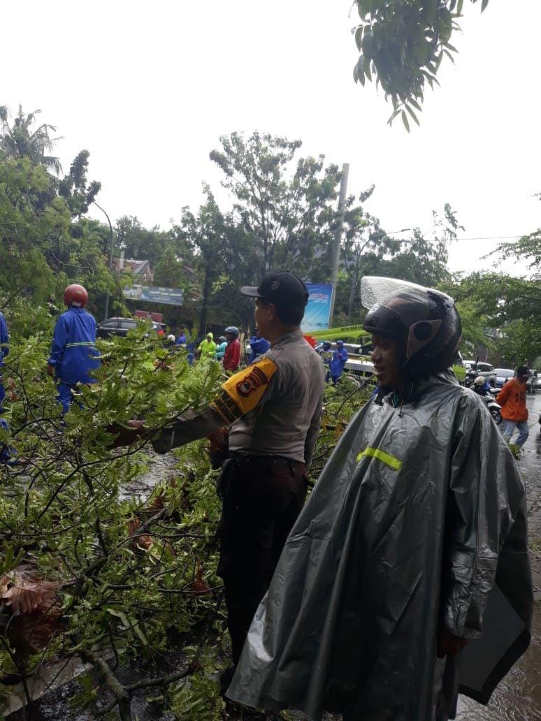 Pohon tumbang timpa mobil di Jalan Sungai Tangka, Ujungpandang, Makassar, Jumat (3/1) / Humas Polsek Ujungpandang