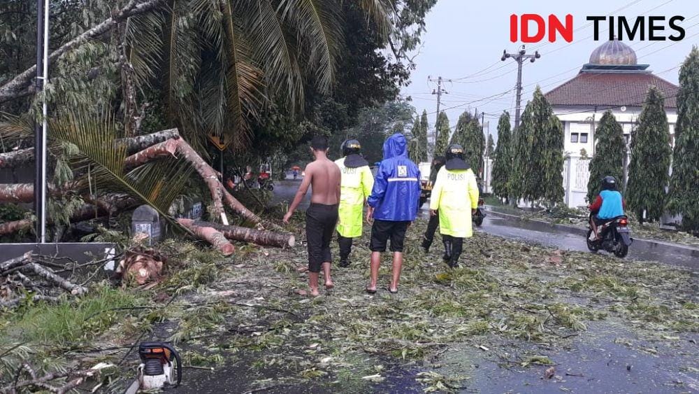 Evakuasi pohon tumbang melintang di jalan raya Kulon Progo. IDN Times/Daruwaskita