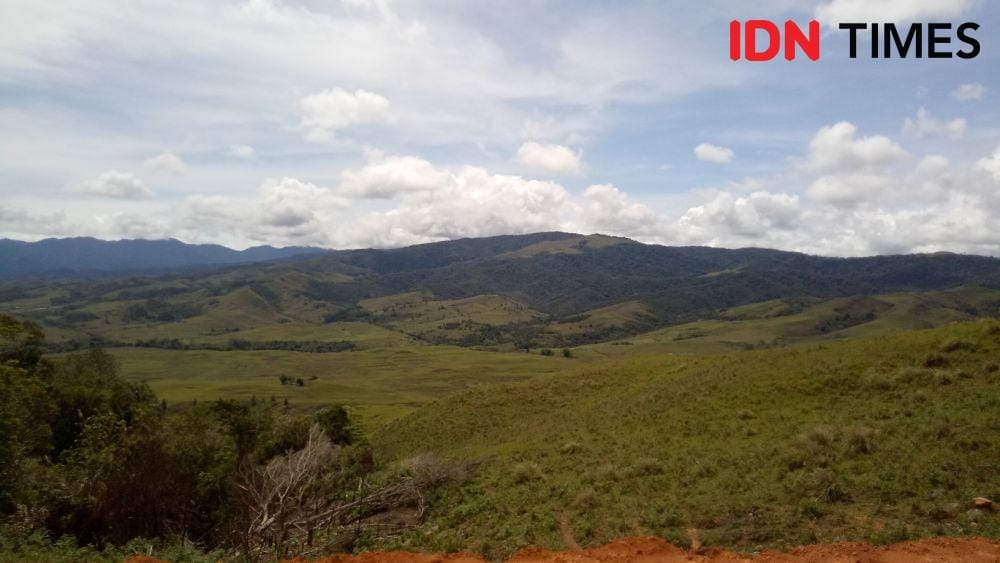Sabana atau padang rumput di Kecamatan Seko dinilai memiliki pontesi pariwisata. IDN Times/Asrhawi Muin