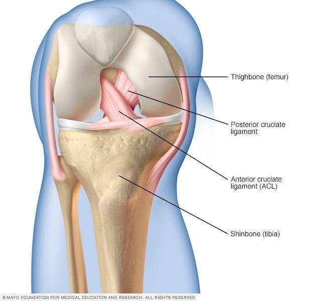 watsonorthopaedics.com