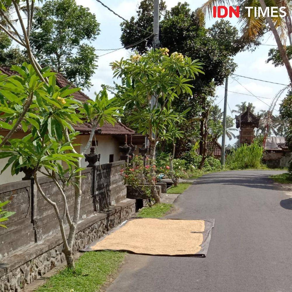IDN Times/Ayu Afria