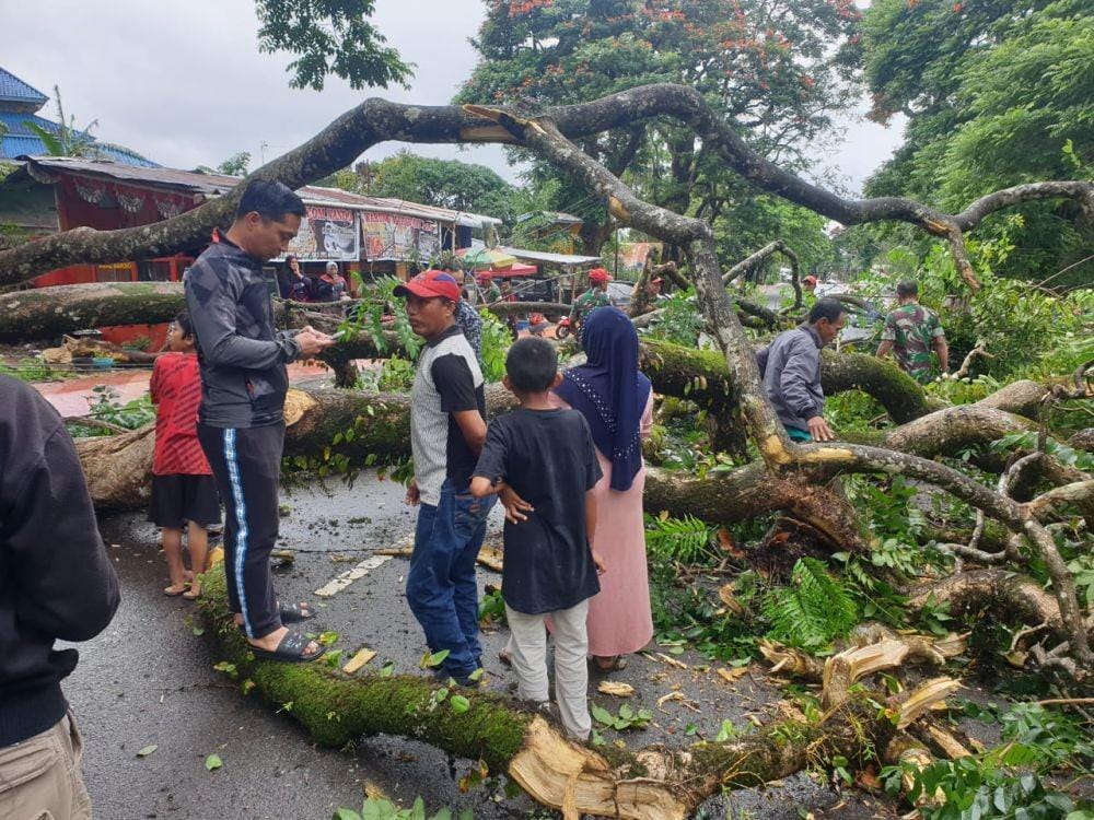 Pohon patah di Jalan Sultan Hasanuddin, Gowa / Istimewa