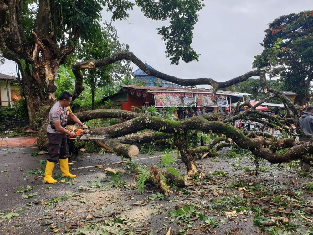 Pohon patah di Jalan Sultan Hasanuddin, Gowa / Istimewa
