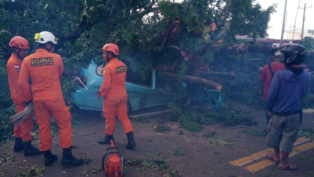 Angkutan umum di Makassar tertimpa pohon tumbang / Polrestabes Makassar