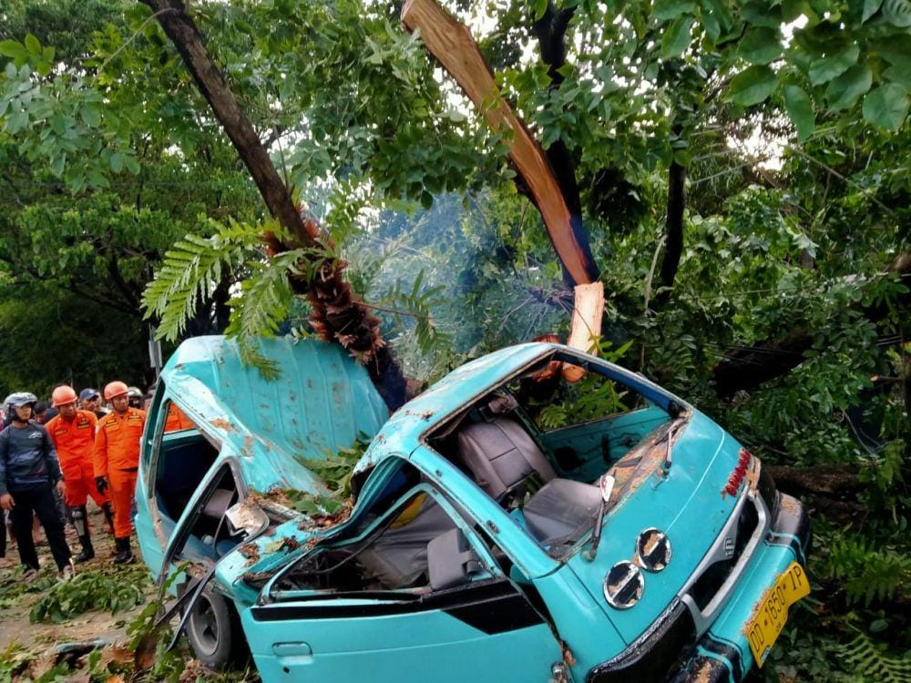Angkutan umum di Makassar tertimpa pohon tumbang / Polrestabes Makassar