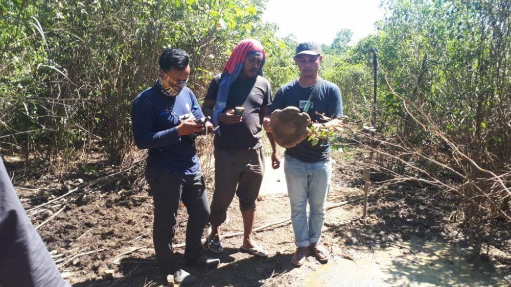Kerangka Gajah Sumatra yang ditemukan di Aceh Jaya (Dok. BKSDA Aceh)
