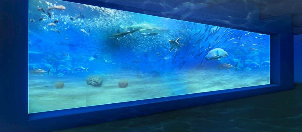 kariyushi-aquarium.com