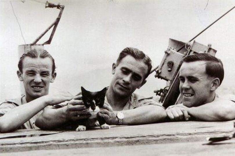 plymouthherald.co.uk