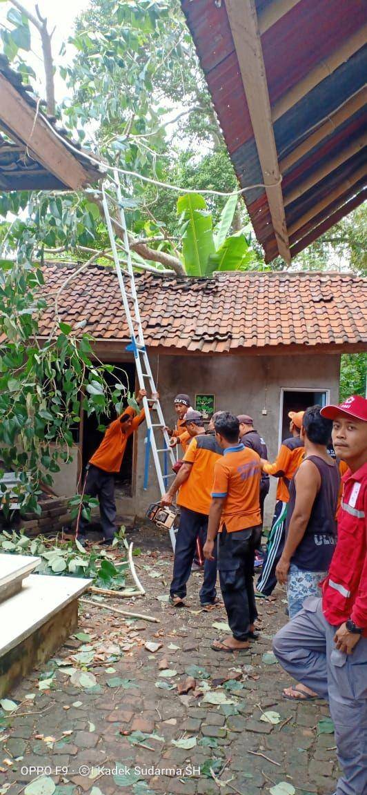 Dok.IDN Times/Istimewa