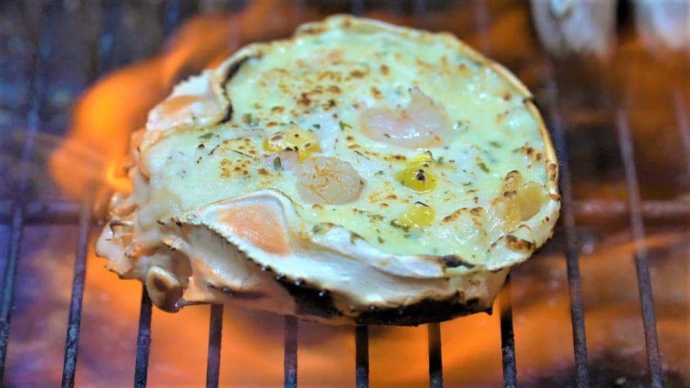 youtube.com/푸디 베어 Foodie Bear