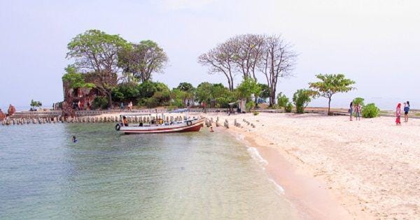 mysearching.wordpress.com