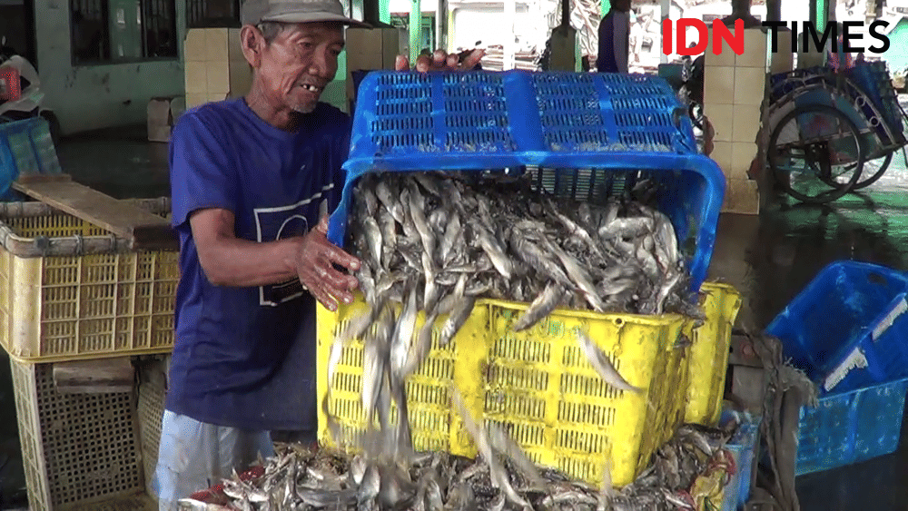 IDN Times/ Muchammad Haikal