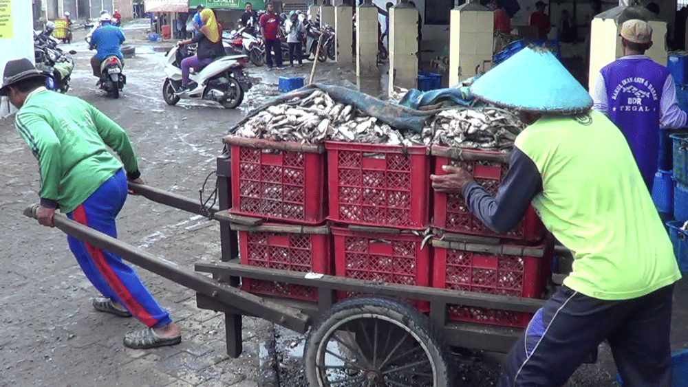 IDN Times/ Muchammad Haikal