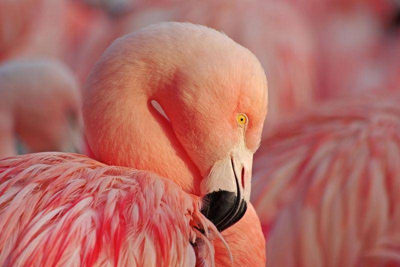 nationalgeographic.com