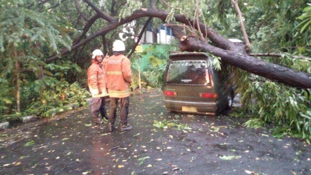 Pohon tumbang menimpa sebuah angkot di Surabaya, Minggu (5/1). IDN Times/Dok. Istimewa
