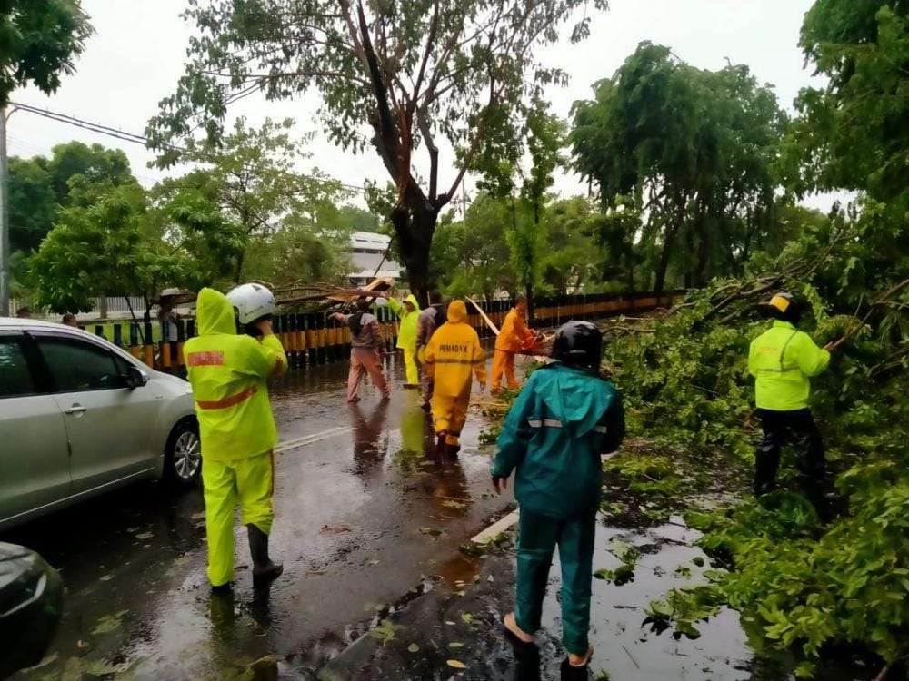 Petugas menyingkirkan pohon tumbang yang menghalangi ruas Jalan Ahmad Yani, Surabaya, Minggu (5/1). (Dok. IDN Times/Istimewa)