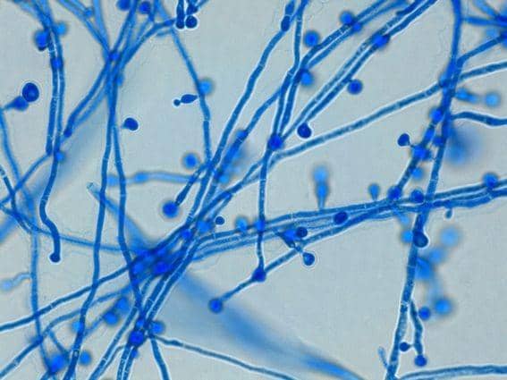 thunderhouse4-yuri.com