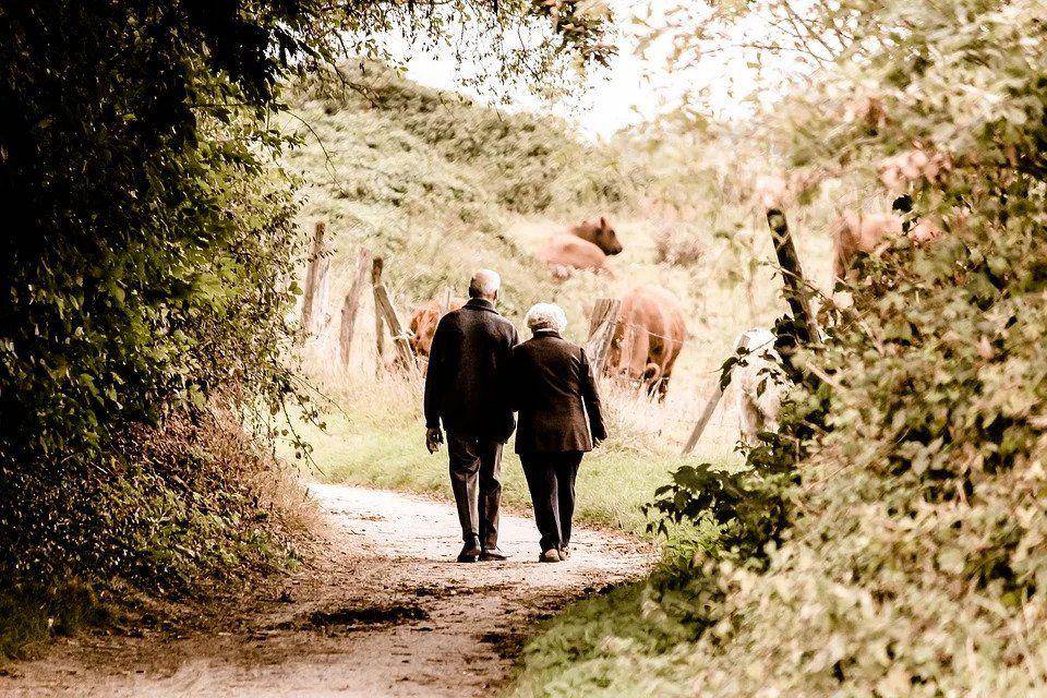 pixabay.com/PICNIC_Fotografie