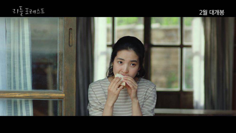 hancinema.net