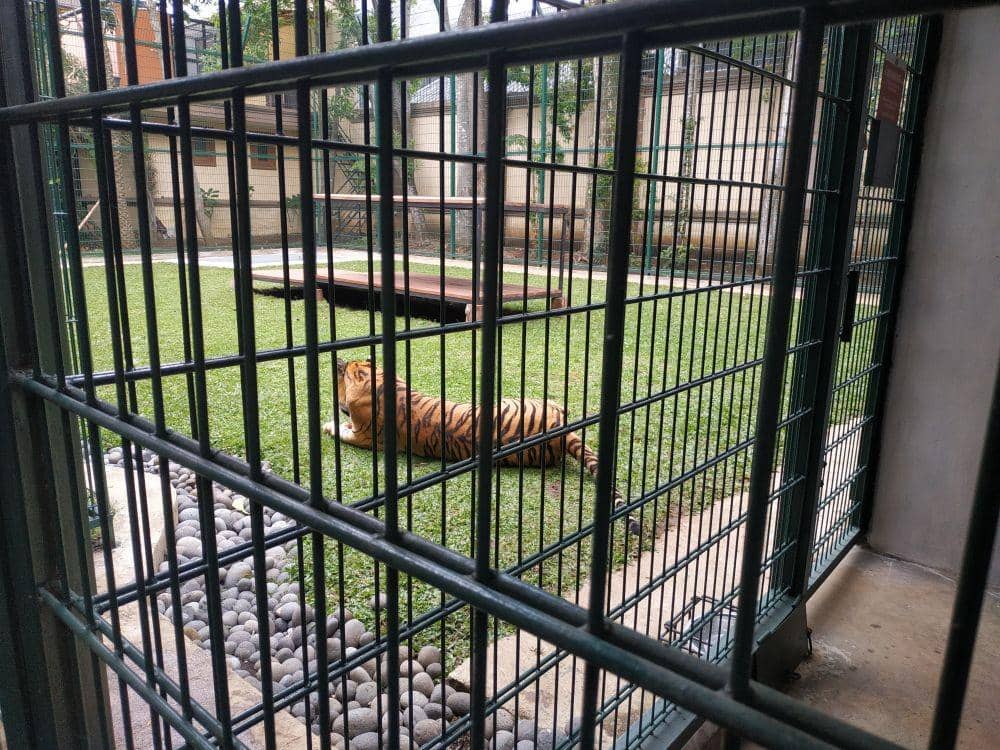 IDN Times/Debbie Sutrisno