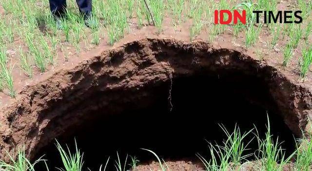 Sinkhole di Kabupaten Gunungkidul. IDN Times/Daruwaskita