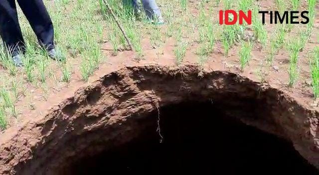 Sinkhole di Kabupaten Gunungkidul. IDN Times/Daruwaskita