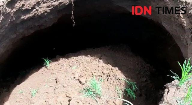 Sinkhole di Kabupaten Gunungkidul. IDN Times/Daruwaskita