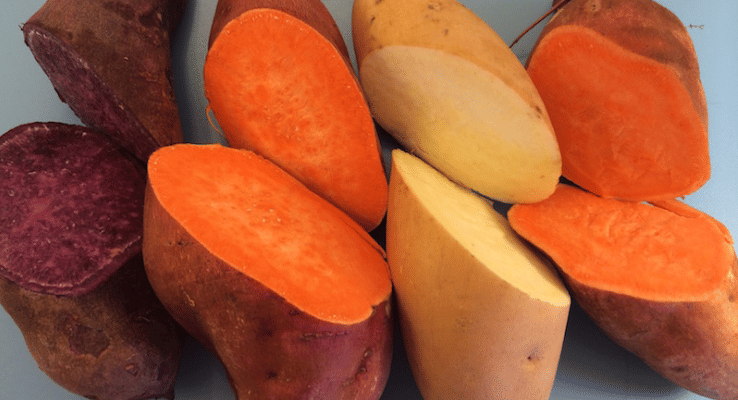 africanpotatoassociation.org