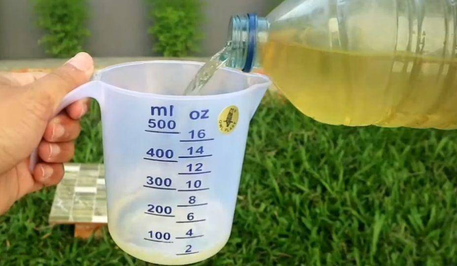 youtube/LiC Experiment