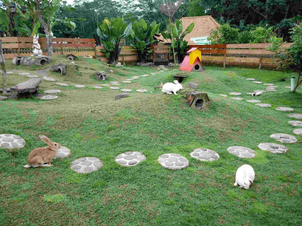 genpijogja.com