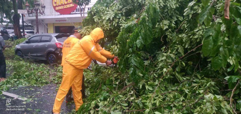Petugas menyingkirkan pohon yang tumbang, Surabaya, Senin (6/1). (IDN Times/Dok.Command Center 112)