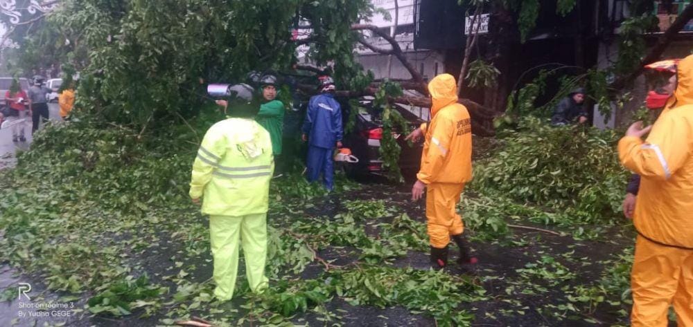 Petugas menyingkirkan pohon yang tumbang, Surabaya, Senin (6/1). (IDN Times/Dok.Command Center 112)