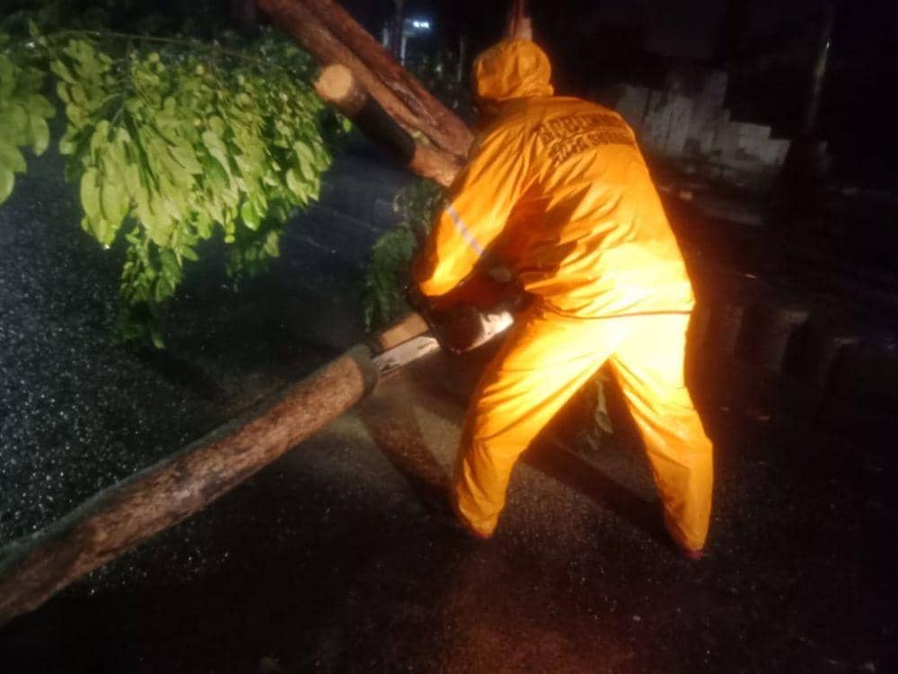 Petugas menyingkirkan pohon yang tumbang, Senin (6/1). IDN Times/Dok.Command Center 112