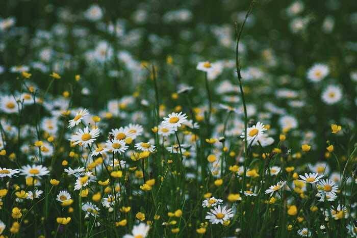Unsplash.com/Roksolana Zasiadko