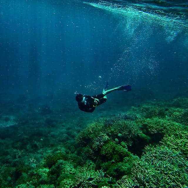 instagram.com/viarms/